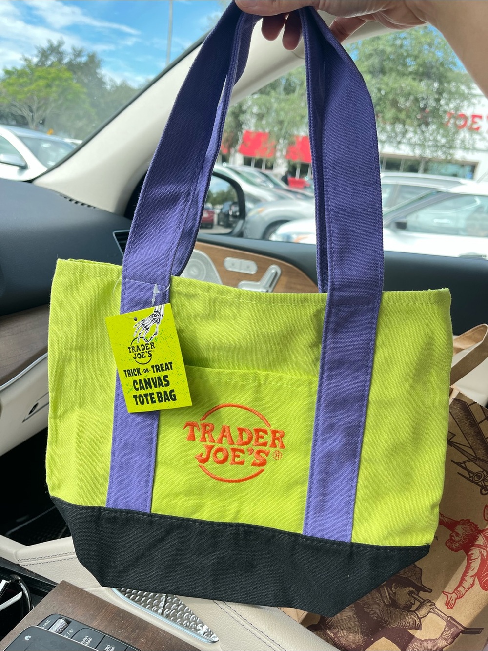 NWT Trader Joes Mini Canvas Tote Bag Black Green & Purple 🎃
